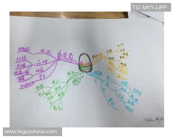 西安羽毛球队防守策略解析与实战应用探讨