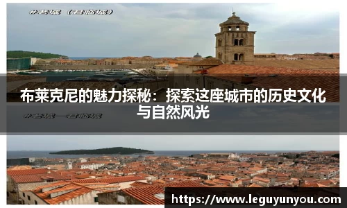 布莱克尼的魅力探秘：探索这座城市的历史文化与自然风光