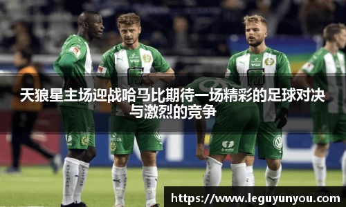 天狼星主场迎战哈马比期待一场精彩的足球对决与激烈的竞争